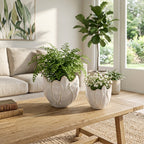 Drydenrun Ivory Ceramic Planters, Set of 2