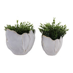 Drydenrun Ivory Ceramic Planters, Set of 2